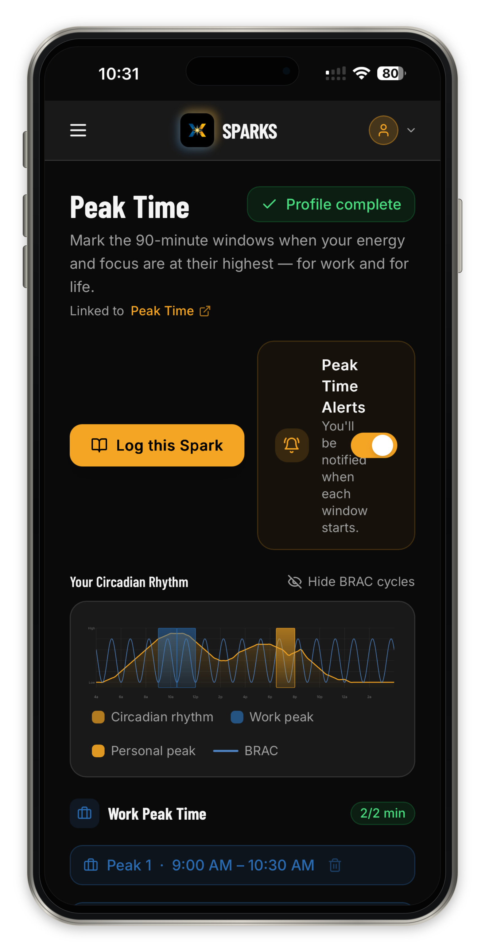 Peak Time planning tool in an iPhone mockup